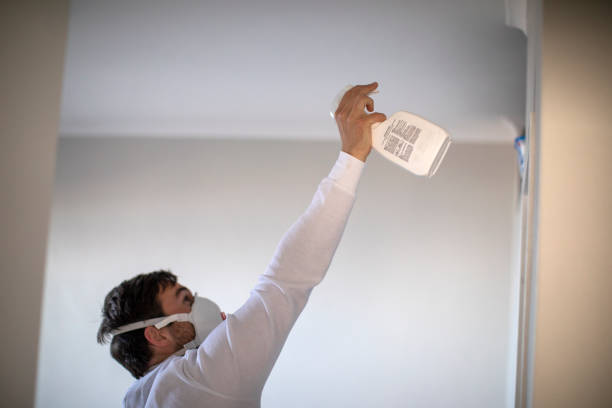 Best Mold Testing  in South Woodstock, CT