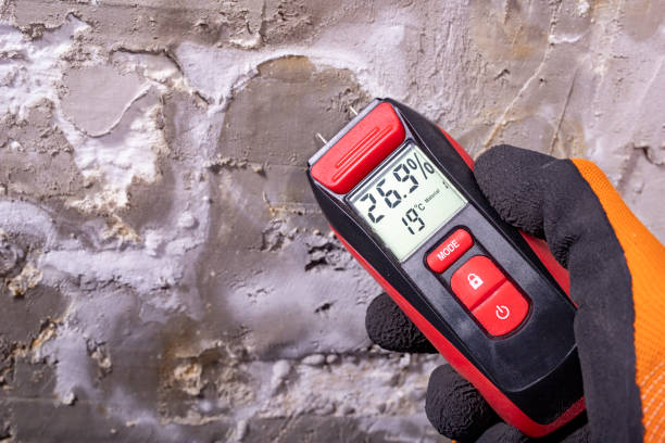 Best Commercial Mold Removal  in South Woodstock, CT