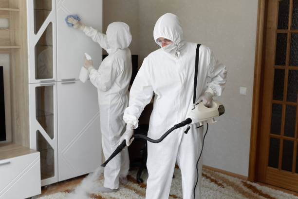 Best Home Mold Removal  in South Woodstock, CT