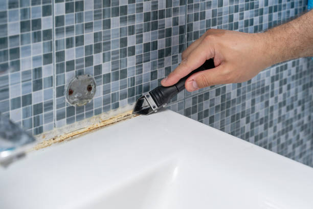 Best Mold Cleaning Services  in South Woodstock, CT